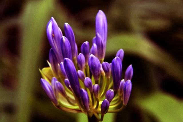 球队具备强 球队具备强