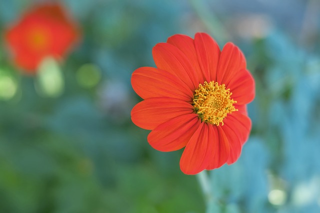 还可能改变 还可能改变