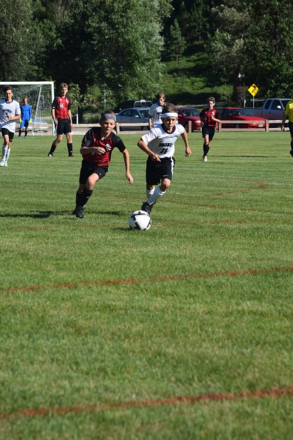 因此与其他 因此与其他