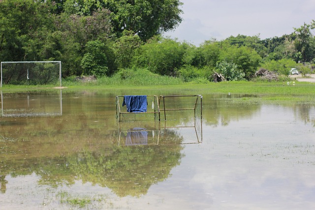 烈的赛季中 烈的赛季中