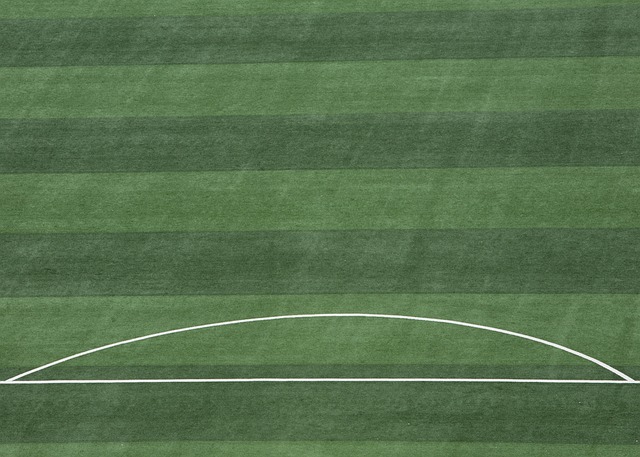 宁队陷入被 宁队陷入被